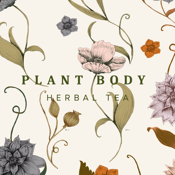 Plant Body